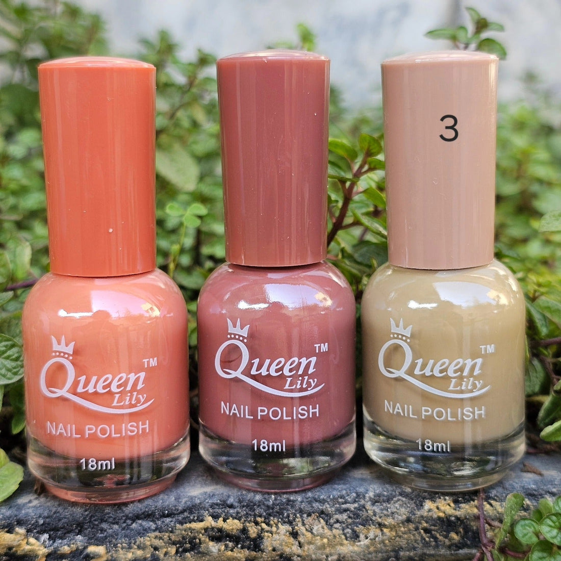 Queen Lily Nail Paint 12 Colors Pack – Glossy Quick-Dry Nail Polish Set
