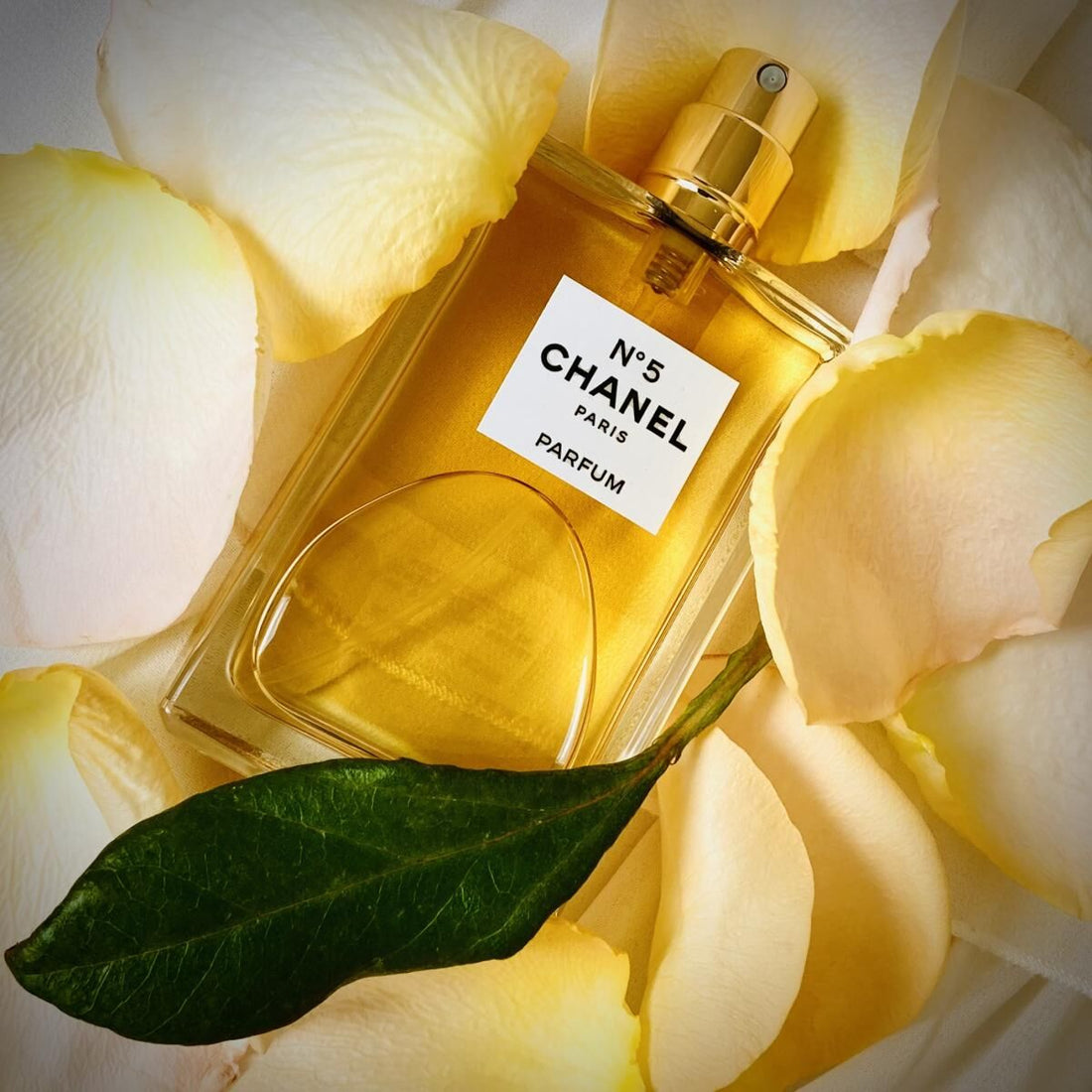 Chanel No.5 0.25oz Women’s Perfume | Iconic Luxury Floral Aldehyde Fragrance